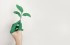 person-s-left-hand-holding-green-leaf-plant-886521