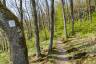 RS9580_27042022CaroLineM0016_DSC9831_scr