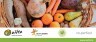 FoodWaste